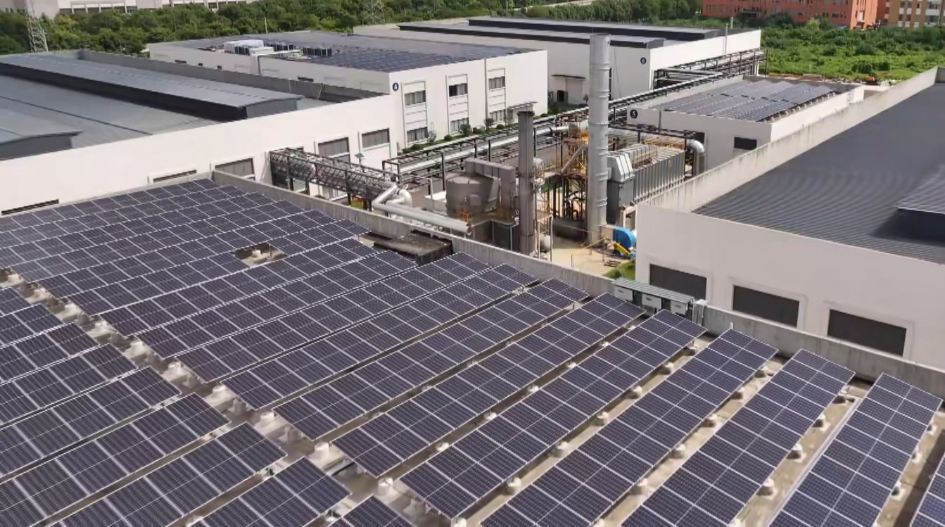 Singleton Cultivates Sustainable Development and Material Innovation